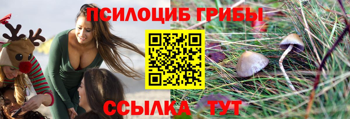 Электросталь  Галлюциногенные грибы Cubensis  Вход с VPN 